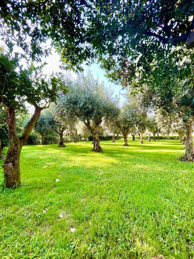 Il Giardino Di Athena 1 Appartement Paestum Buitenkant foto