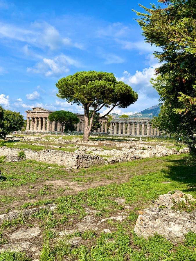 Il Giardino Di Athena 1 Appartement Paestum Buitenkant foto