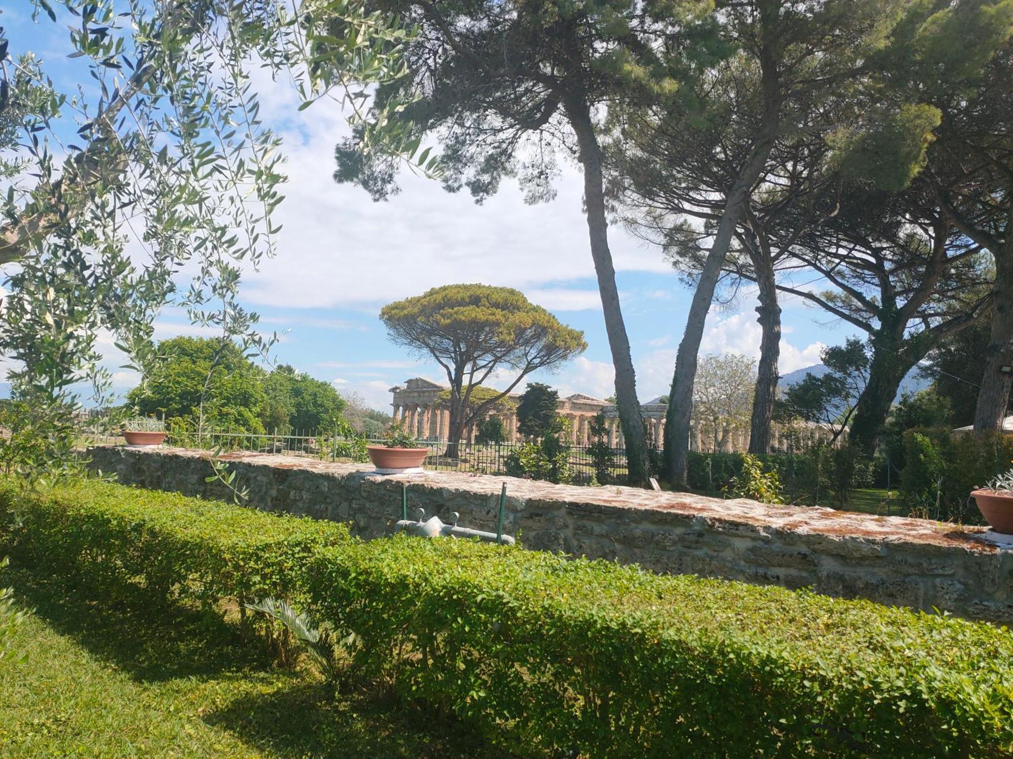 Il Giardino Di Athena 1 Appartement Paestum Buitenkant foto
