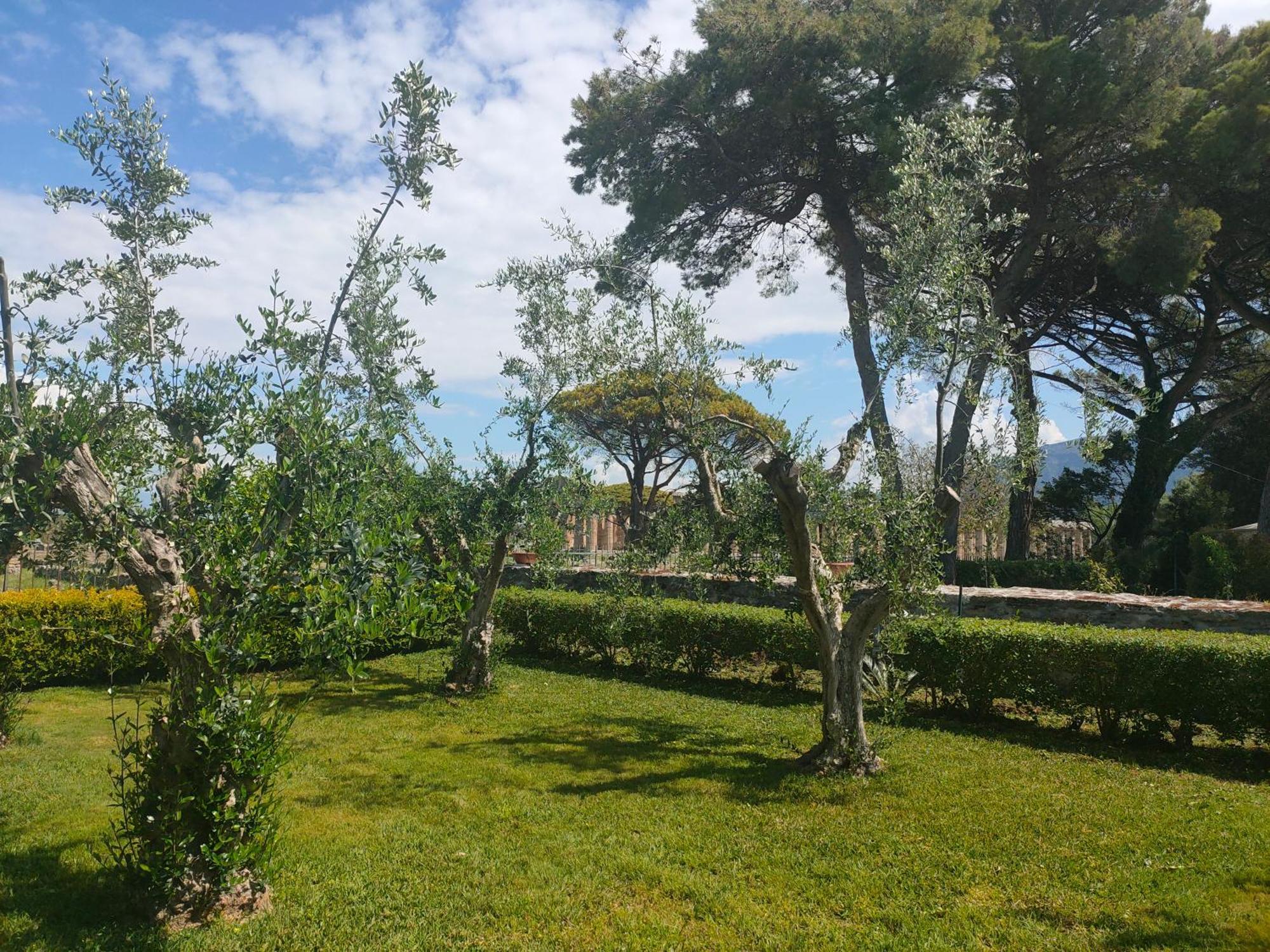 Il Giardino Di Athena 1 Appartement Paestum Buitenkant foto