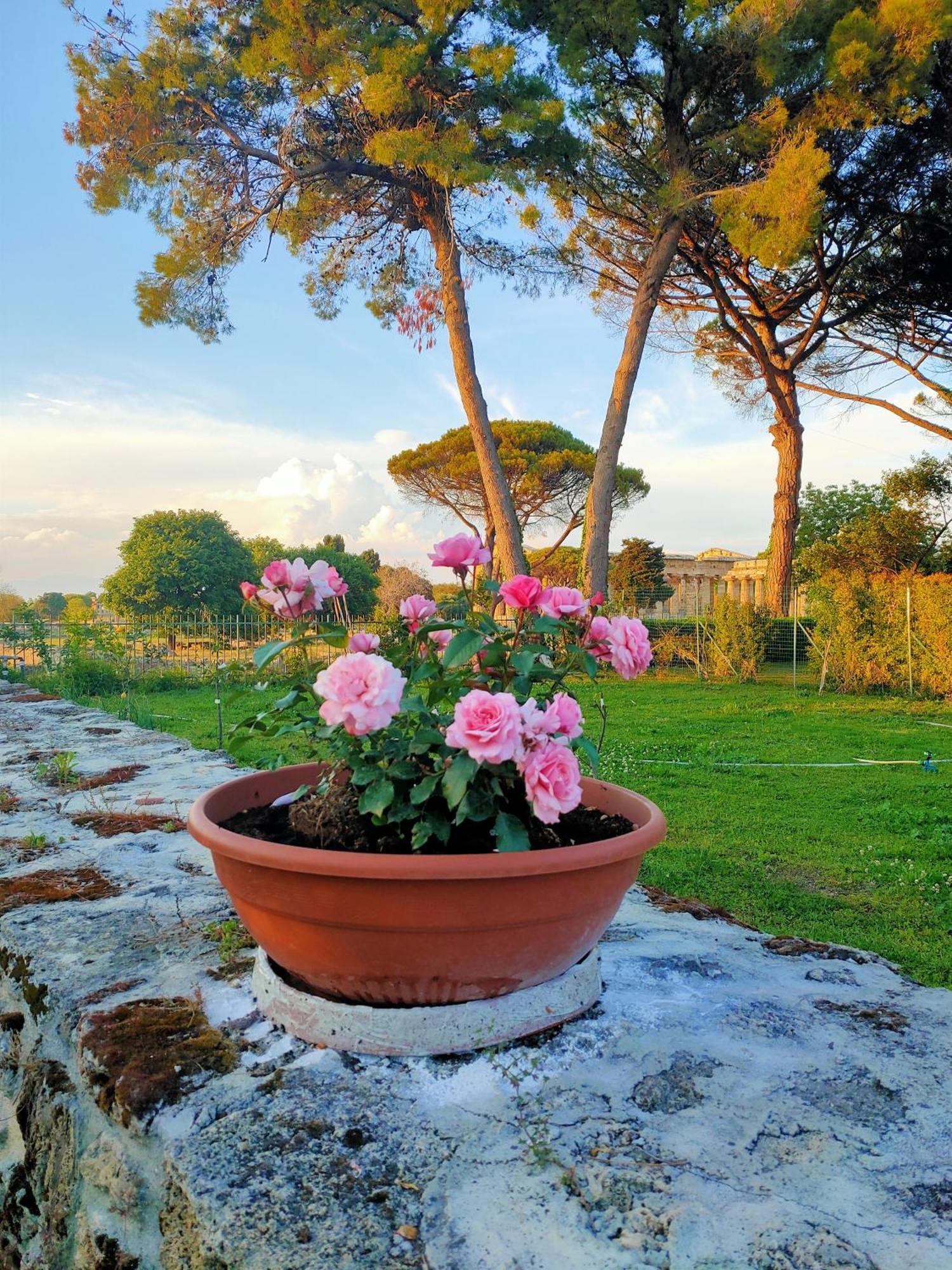 Il Giardino Di Athena 1 Appartement Paestum Buitenkant foto