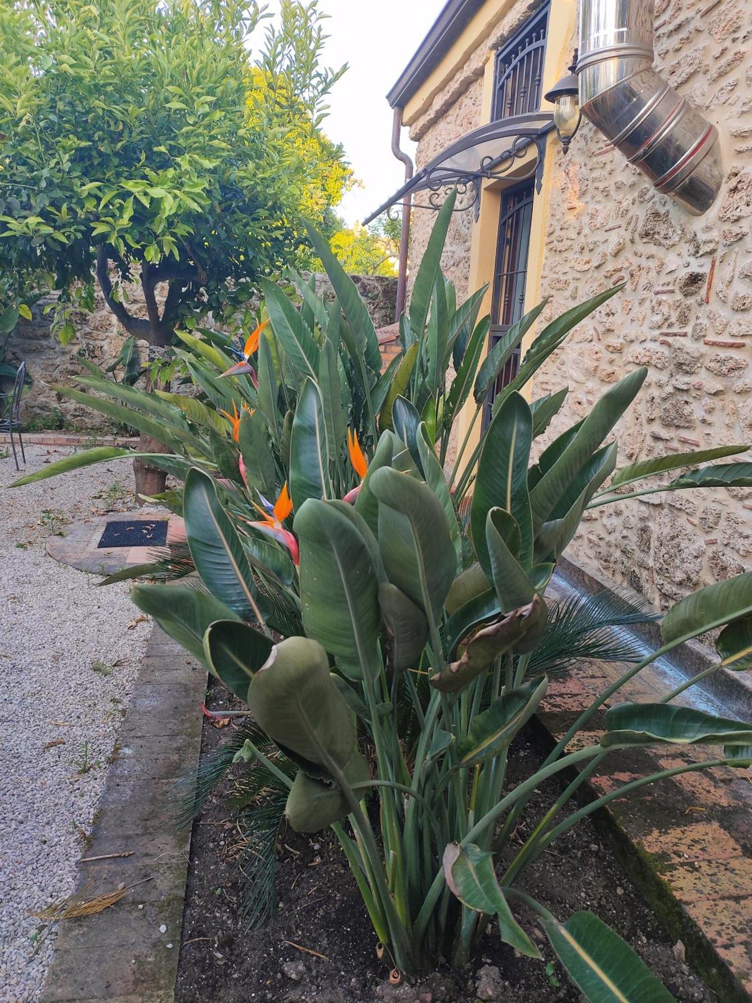 Il Giardino Di Athena 1 Appartement Paestum Buitenkant foto
